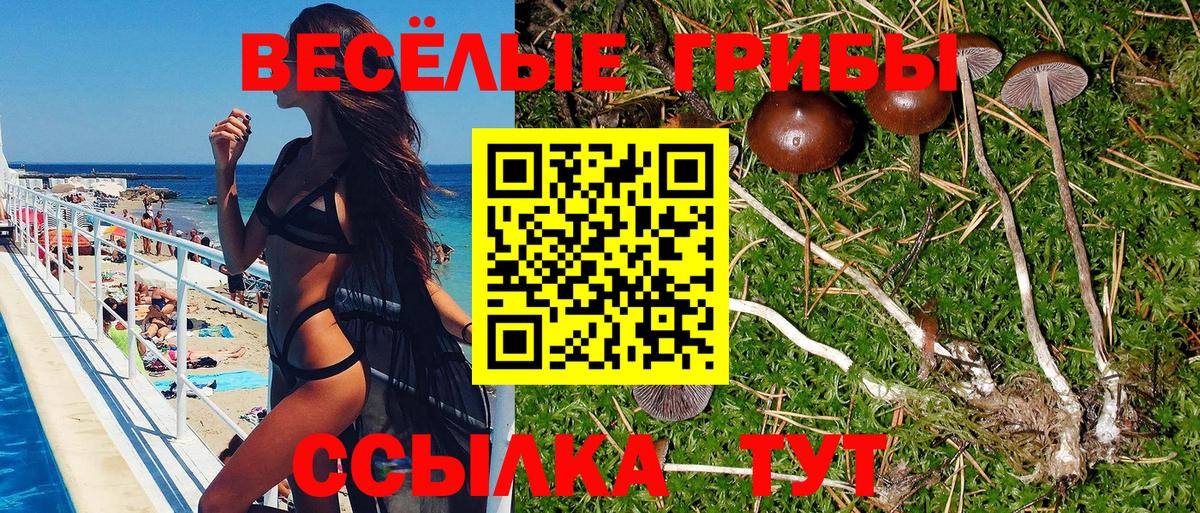 Галлюциногенные грибы Cubensis Орск