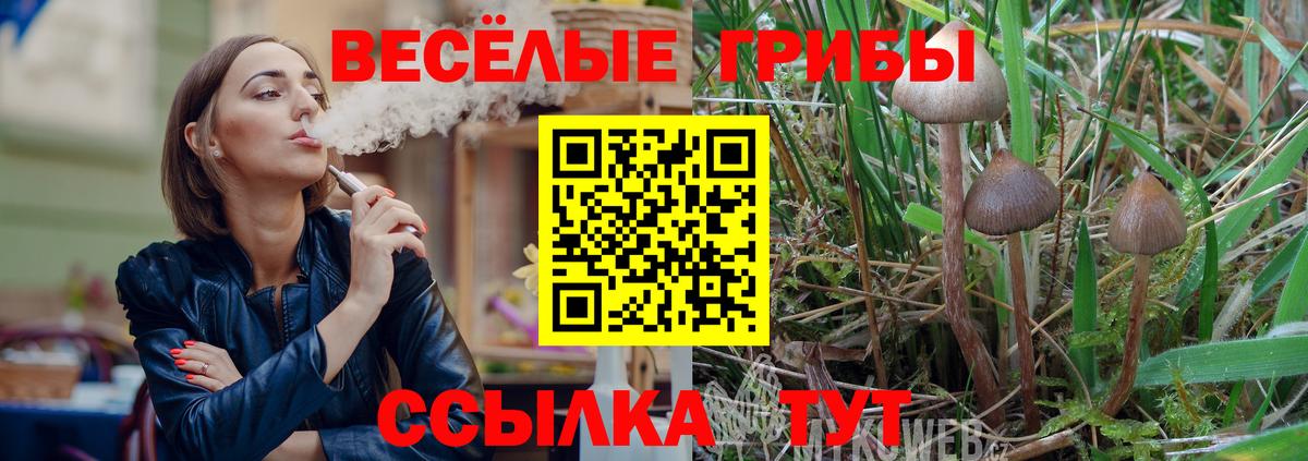 Орск  Псилоцибиновые грибы мицелий  Вход с VPN  Псилоцибиновые грибы Magic Shrooms 